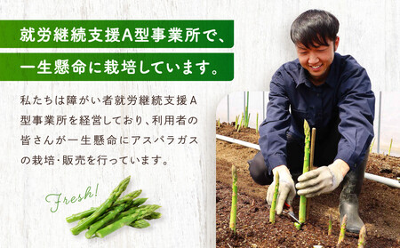 【2026年発送・先行受付】ひだっこアスパラガス 500g |  産地直送 春 夏野菜 採れたて アスパラガス 飛騨高山 CM007