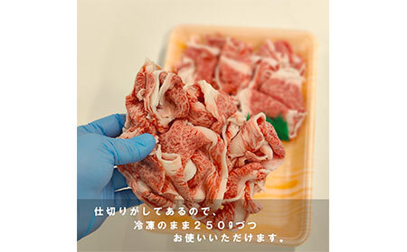 鳥取和牛小間切れ　冷凍500g×2_T2600312