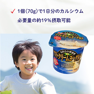 【6ヶ月定期便】愛知ヨーク　ソフトクリームヨーグルト　20個入［108A10-T］