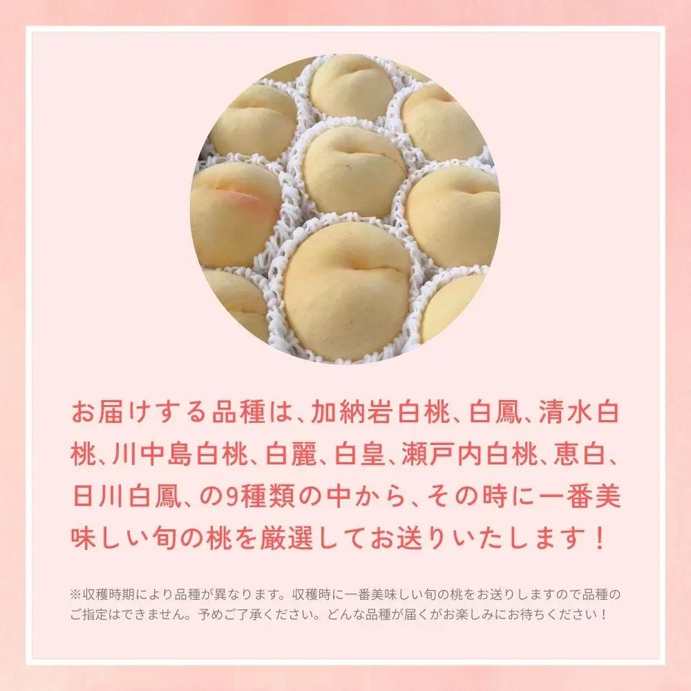 ＜数量限定＞［なんばふぁーむ］岡山県産 旬の桃 4.0kg（11～14玉）［ご家庭用］【2026年発送】