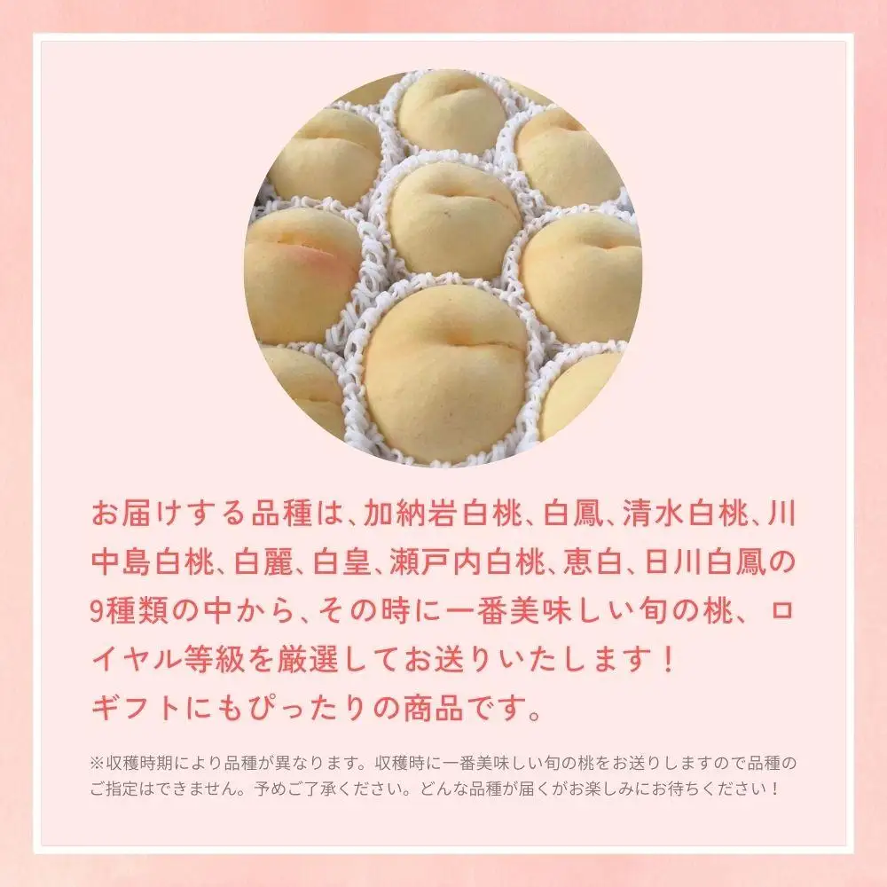 ＜数量限定＞［なんばふぁーむ］岡山県産 旬の桃 1.5kg（4～6玉）[ギフト用]【2026年発送】 039-a003