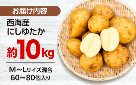 【先行予約】じゃがいも にしゆたか 10kg CGM002 じゃがいも