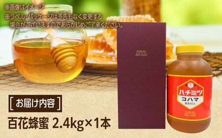 蜂蜜 コハマのハチミツ 百花蜂蜜 2.4kg×1本   BCAQ006