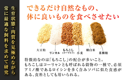 鹿児島うんまか 豚 生餃子 9パック（ 餃子 108個入り・ タレ付 ） K005-003_02 肉 豚肉 惣菜 総菜 冷凍