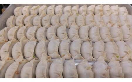 手作り冷凍生餃子 60個 計1.47kg ＋ラー油セット｜餃子 