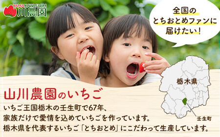 とちおとめ 320g×2パック 3Lサイズ ｜ いちご 苺 イチゴ 贈答 フルーツ 果物 国産 平積み ※2027年1月～発送