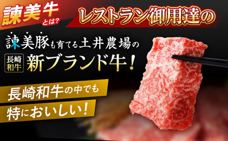 【お中元対応可】【特Aのブランド米で育てた】諫美牛 上カルビ 500g(250g×2) / 牛肉 ぎゅうにく 和牛 肉 焼肉 やきにく 国産 カルビ かるび / 諫早市 / 株式会社土井農場 [AHAD101]