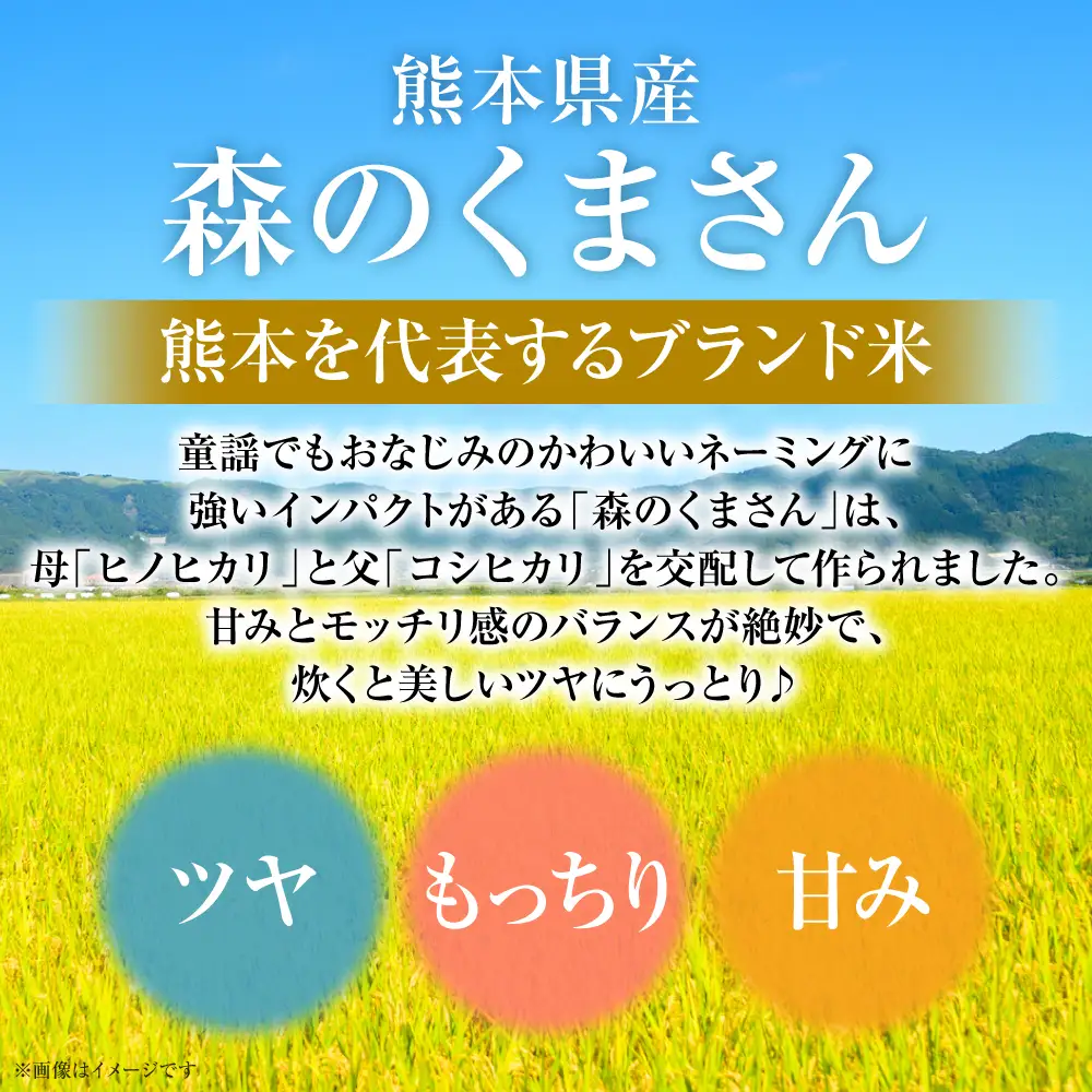 【令和7年産】 熊本県産 森のくまさん 10kg (5kg×2袋) オリジナルパッケージ 米 お米 精米 白米 ごはん ご飯 熊本