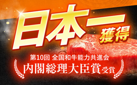 【6回定期便】長崎和牛A5ランク牛ロース小間切れ（400ｇ入）[OCH024]
