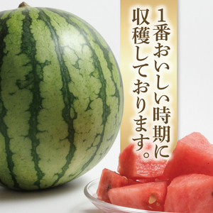 先行予約 スイカ 西瓜 8.5kg～9kg 1玉 山崎農園 産地直送 お取り寄せ 夏 旬 茨城県 阿見町 すいか 西瓜 果物 くだもの フルーツ 国産 甘い 送料無料【2026年5月下旬～7月中旬頃順次発送予定】（70-01-1）