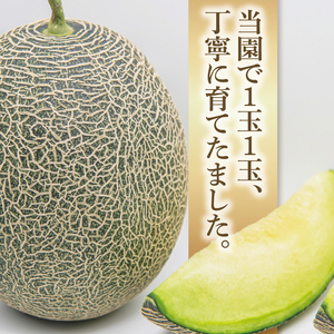 先行予約 グリーンメロン 5kg  3玉入 4玉入 山崎農園 産地直送 お取り寄せ 夏 旬 フルーツ 果物 くだもの 甘い メロン 茨城県 阿見町【2026年5月下旬～6月中旬頃順次発送予定】（70-02-1）
