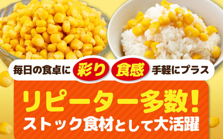 【全2回定期便】自然甘 ホールコーン 24缶【きもべつ観光協会】 缶詰 瓶詰 加工品 とうもろこし 北海道 常温配送 [AJAG023]