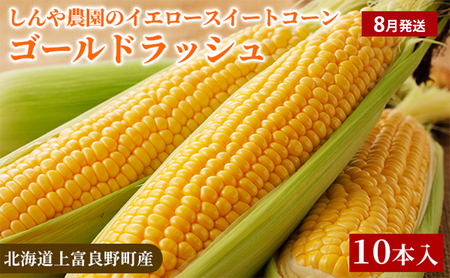 【令和8年産】北海道上富良野 野菜お肉デザートMIX上富良野満足定期便 とうもろこし ジェラート 豚肉