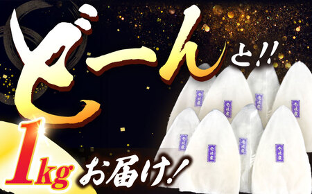 【お中元】剣先イカ 刺身用 1kg [JCC021] イカ刺し