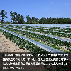 【令和8年産先行予約】 お楽しみメロン 3玉セット 2Lサイズ 山形県庄内産 アンデスメロン・鶴姫メロン・鶴姫レッドメロン の中から3玉お届け 食べ比べ　JA鶴岡 K-836