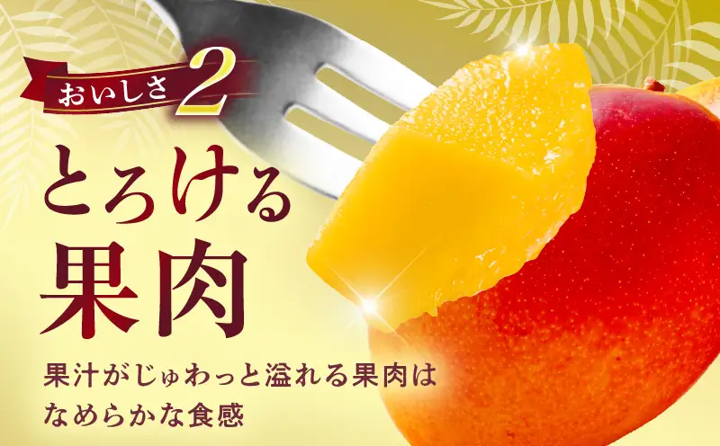 宮崎県産 完熟マンゴー 2玉 3L