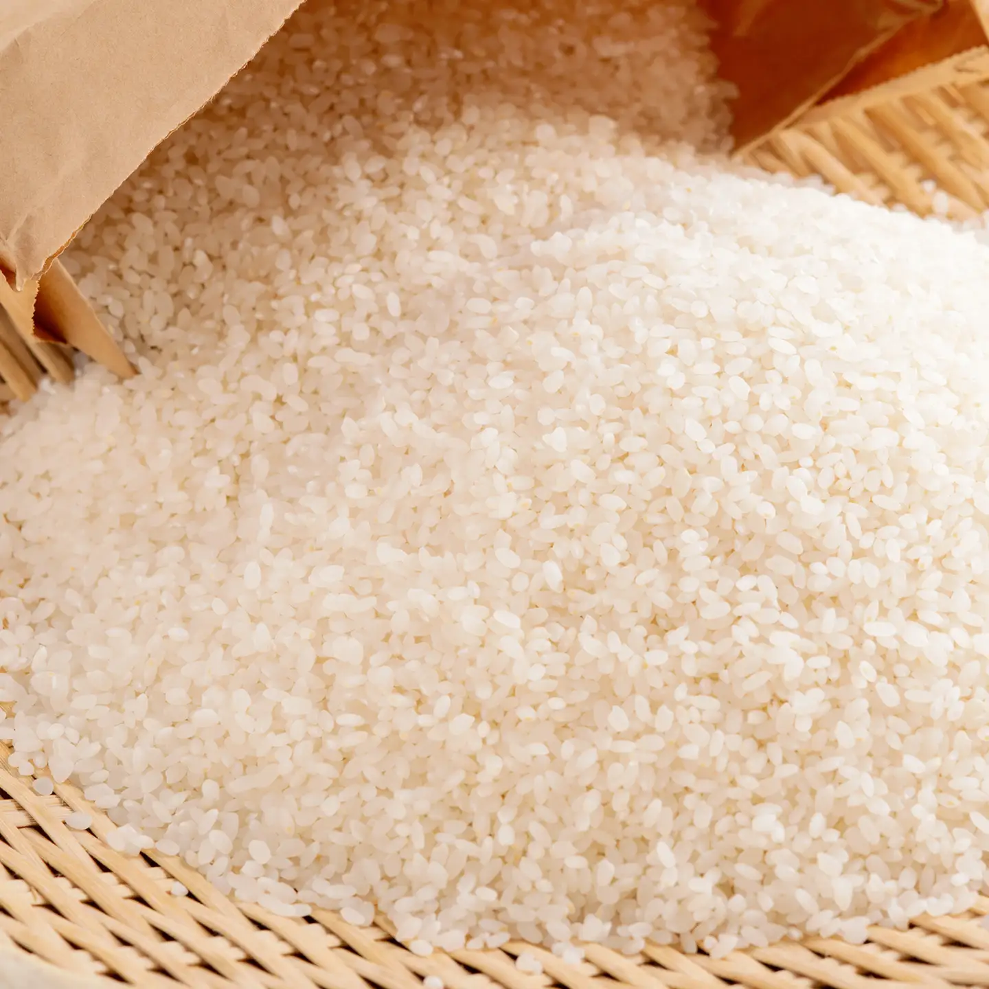 【先行予約】 令和8年産 ゆめぴりか5kg NAZ014