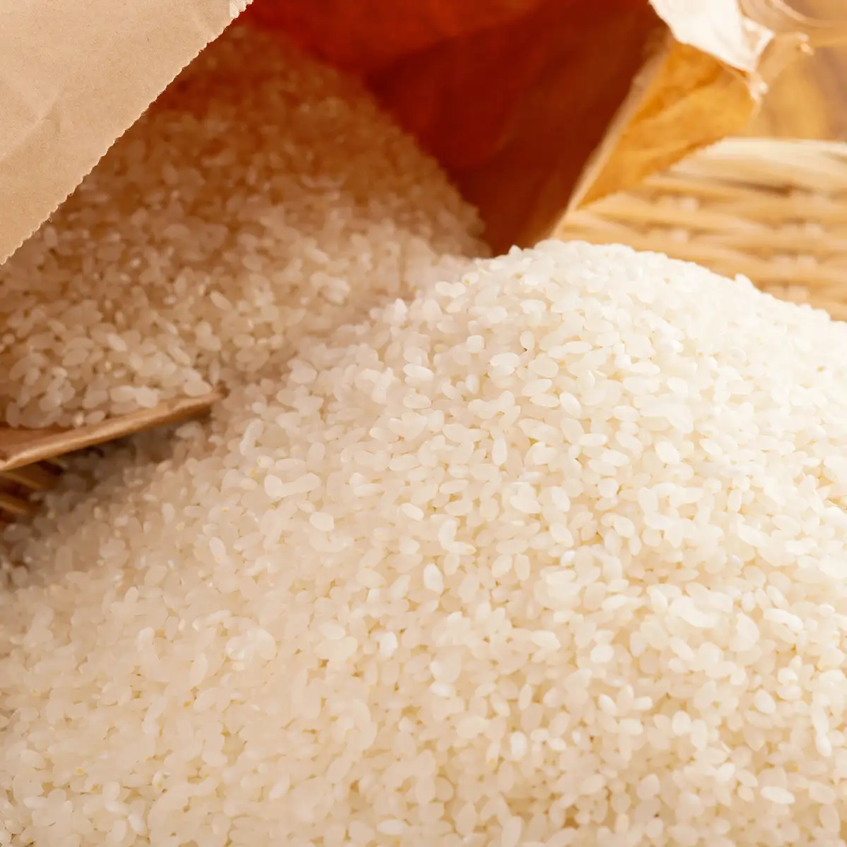 【先行予約】 令和8年産 ふっくりんこ5kg NAZ017