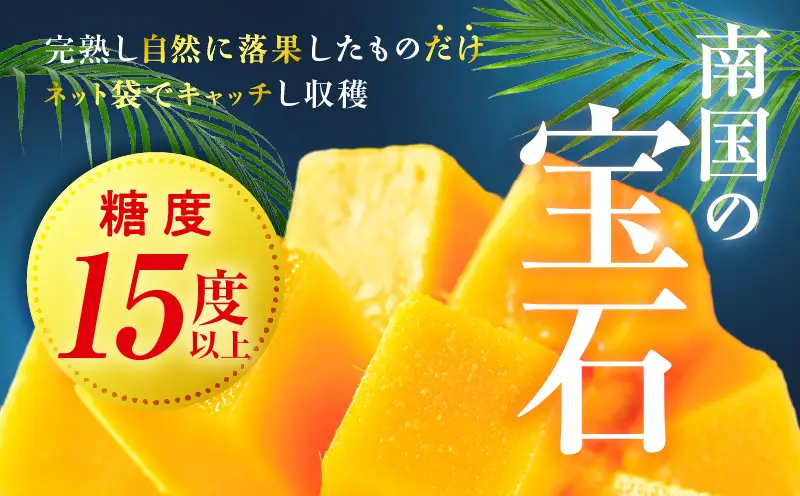 宮崎県産 太陽のタマゴ 2L×2玉