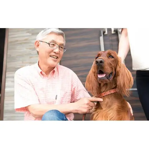 アニマルペットシータラクト 60カプセル入り×2箱【サプリメント 健康 健康食品 ペット 犬猫用 免疫 関節 腰 ビタミン 乳酸菌 三重県 四日市市 四日市 ふるさと納税】