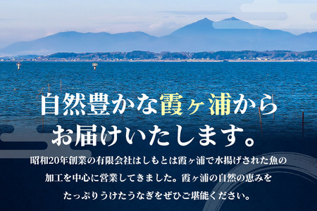 大きな国内産うなぎ白焼(酒蒸し) 140～160g 4尾 計560g以上 うなぎ 鰻 ウナギ 白焼 酒 蒸し 蒲焼 タレ 山椒 付き 簡単調理 贈答用 ギフト 内祝い 土用の丑の日 冷蔵 国産 茨城県 潮来市 (A23-032)