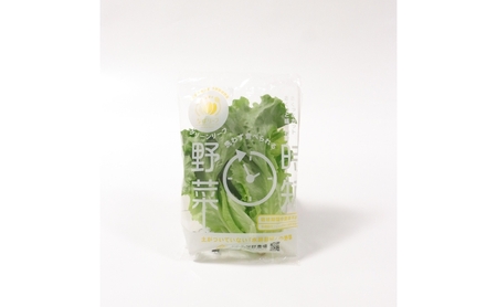 なばリーフ アソート セット フリルレタス 3p グリーンリーフレタス 2p ケール 2p 計7p入/ 水耕栽培 時短 野菜 レタス 特殊フィルム包装 新鮮 洗わずに食べられる サラダ お鍋 スープ サンドウィッチ 炒め物 煮物 サラダ 手軽 安全 安心 栄養 健康