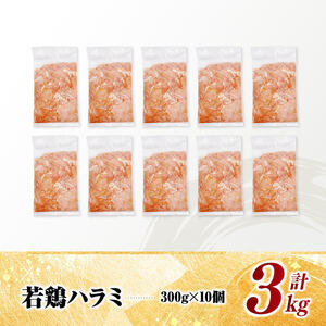 宮崎県産若鶏　ハラミ3kg（300g×10） 【 鶏肉 鶏 ハラミ 肉 宮崎県産 小分け パック 送料無料 】