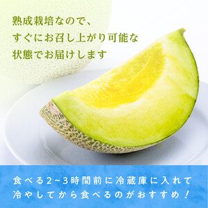 メロンの森　アールスメロン（マスクメロン）1個入り（約1.5kg～2kg）