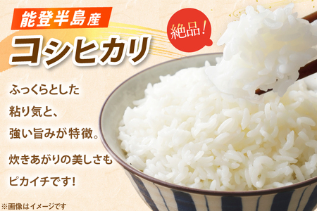 米 コシヒカリ パックご飯 150g ×20パック [翠の波 石川県 宝達志水町 38601227]