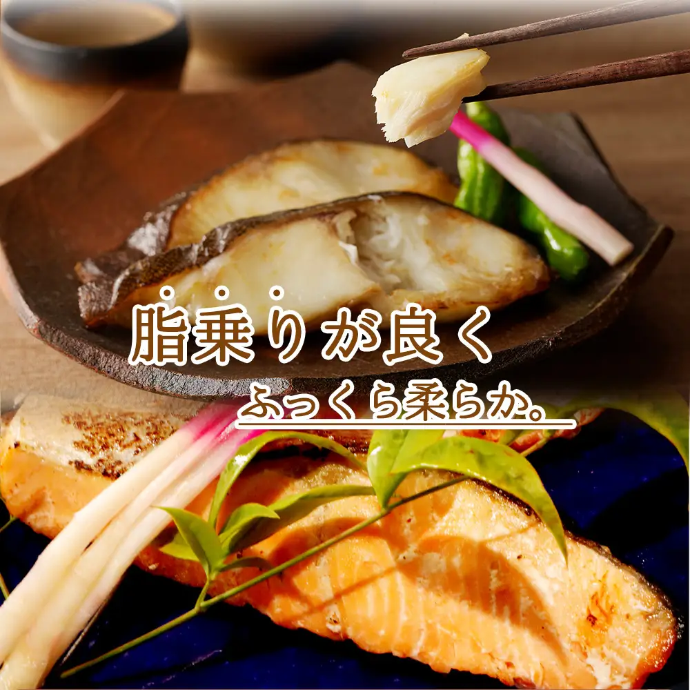 和歌山魚鶴仕込みのだし漬け天然銀だら切身6切＆銀鮭切身6切　（真空パック入）  小分け / 銀鱈 さけ  だし 魚 切り身 切身 魚 海鮮 焼き魚 ご飯のおとも おかず【uot851A】