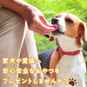 【大満足セット】犬猫用 無添加おやつジャーキー 牛グリーントライプ（肉）［143O25］