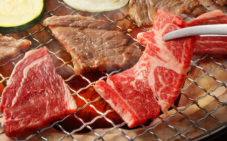【6ヶ月定期便】あか牛焼き肉用カット（バラ、ロース） 約500g 計約3,000g 赤牛 あか牛 牛肉 熊本 バラ ロース カット肉 定期便 熊本県 西原村 冷凍