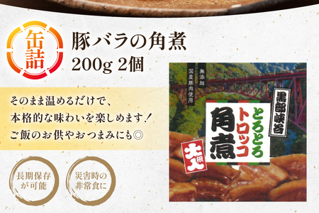缶詰 豚の角煮 200g 2個 [テイスト kanburiya 富山県 朝日町 34310485]