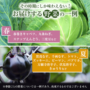 【定期便12回】＜京野菜の京都やおよし＞丹波野菜詰め合わせ お米2kgのセット《栽培期間中農薬不使用 野菜》※北海道・沖縄・離島への発送不可