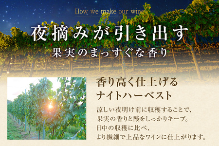 Chardonnay2023 爽 750ml 白ワイン 2本セット｜シャルドネ 無添加 無濾過 国産 日本ワイン 愛知県 東浦町