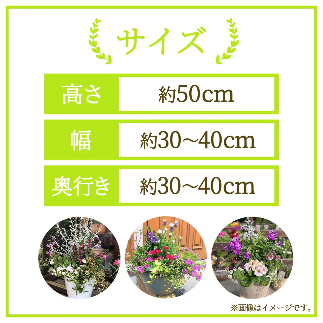 季節の寄せ植え＜花わたひき＞花 お花 季節の花 生花 記念日 誕生日 自宅用 インテリア 部屋飾り 装飾 贈答 ギフトプレゼント おしゃれ 茨城県 城里町 (BY002)