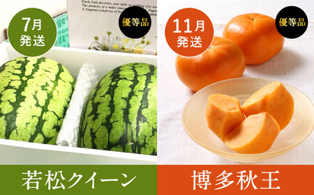 【福岡県産 特産品 年4回定期便】うまもぐ厳選 野菜果物セットA 定期便 野菜 果物 詰め合わせ