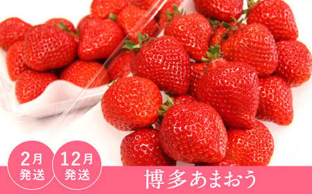 【福岡県産 特産品 年6回定期便】うまもぐ厳選 野菜果物セットDX 定期便 野菜 果物 詰め合わせ