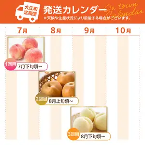 ≪先行受付≫【2026年度発送】 桃と梨好きの満足定期便【定期便全3回】060-T10