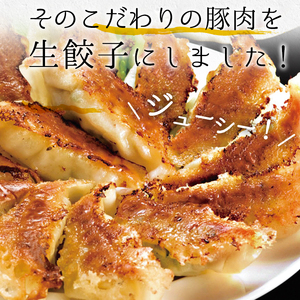 ☆大容量☆＜焼くだけ＞鹿児島黒豚生餃子 合計240個！（12個×20P）【00-008-27-60】