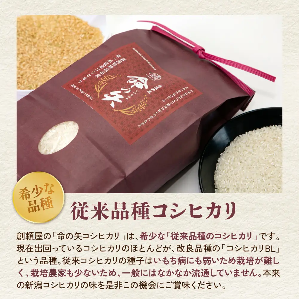 先行予約 令和8年産 越後妙高命の矢 コシヒカリ 10.2kg 妙高産