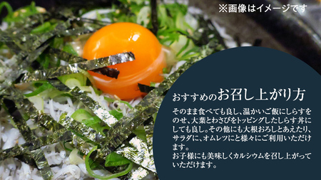 大津港水揚げ しらす干し 500g (250ｇ×2パック) (茨城県共通返礼品：北茨城市)