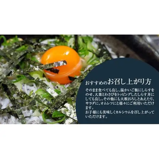 大津港水揚げ しらす干し 1kg (500g×2パック) (茨城県共通返礼品：北茨城市)