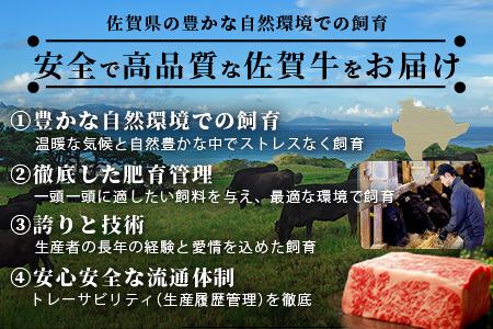 【数量限定】【A5A4等級 佐賀牛ロースステーキ200g×2枚】高級 ブランド牛 国産黒毛和牛 厚切り 贅沢グルメ 牛肉 肉 単身 家族 贈答用にも◎ 佐賀県鹿島市 送料無料 C-142
