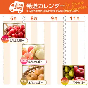 【2026年度発送】≪先行受付≫ 人気フルーツバラエティ６種便【定期便全4回】 060-T09