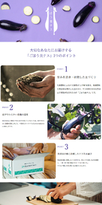 野菜ソムリエサミット金賞「ごほう美ナス」 約1kg