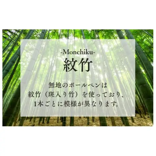 竹製ボールペン（無地）ボールペン ペン 筆記具 紋竹 斑入り 竹製品 手作り ハンドメイド