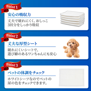 定期便 12回 ペットシーツ 【極】シリーズ 厚型ワイド 48枚 ペット用 犬用 猫用 トイレシーツ 日用品 ペット用品 防災 備蓄 消耗品 ドッグ キャット わんちゃん ねこちゃん 静岡県 富士市 [sf077-145]