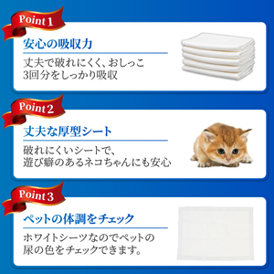 定期便 6回 厚型 ペットシーツ 【極】シリーズ レギュラー システムトイレ対応 ペット用 犬用 猫用 トイレシーツ 日用品 ペット用品 防災 備蓄 消耗品 ドッグ キャット わんちゃん ねこちゃん 静岡県 富士市 [sf077-150]