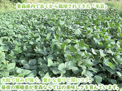 【 2026年産 数量限定 】青森の定番 毛豆 約1kg【 9月 クール便発送 】青森県鰺ヶ沢町産 ※オンライン決済のみ 野菜 枝豆 大粒 甘みが強い 豊かな香り コク ほっくり おつまみ 料理 お弁当 食材